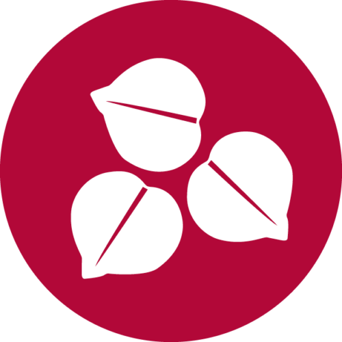 icon-chickpeas-500x500