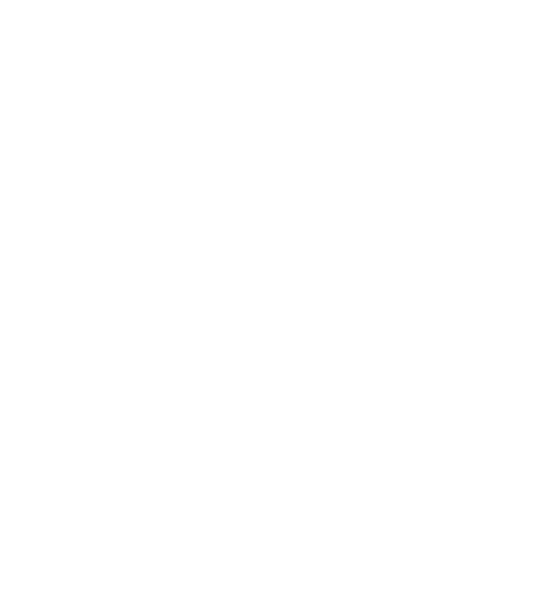 icon-intestine-500x543