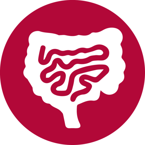 icon-iron-absorption-500x500