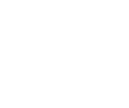 icon-orange-juice