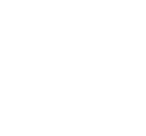 icon-qa-500x466