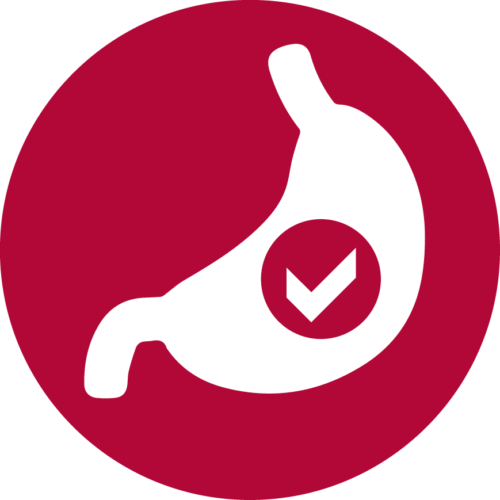 icon-stomach-easy-500x500