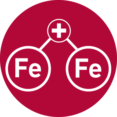 plus-fe-fe-500x500