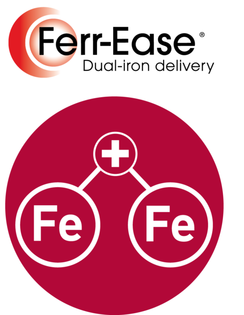 ferr-ease-plus-fe-500x645